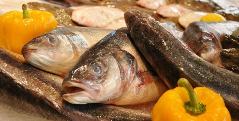 Poisson à Trouville-Sur-Mer