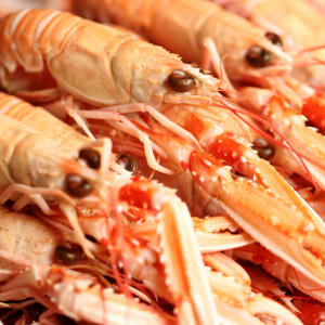 Langoustines Moyenne