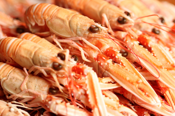 Langoustines Moyenne