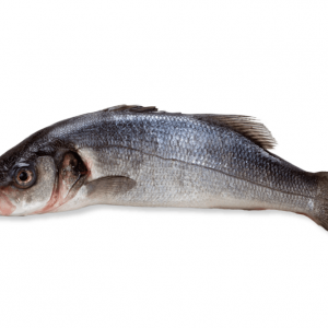 Bar de Chalut - 500g