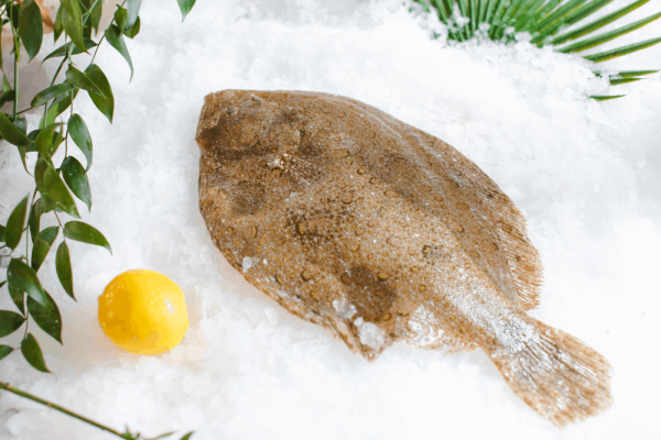Barbue – 500g