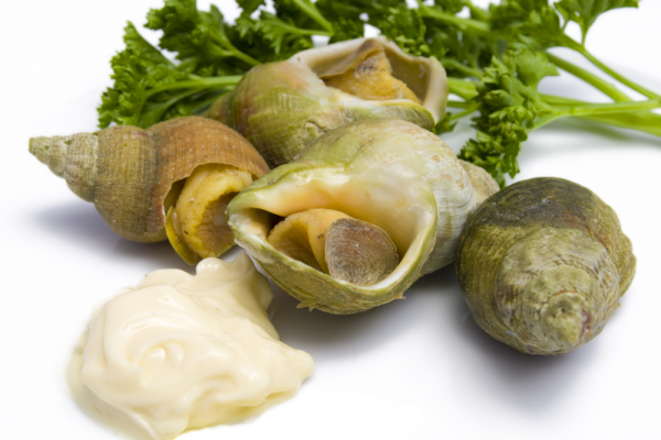 Bulot – 100g