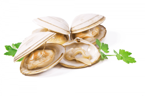 Clams – 200g