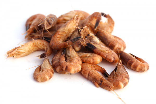 Crevette grise – 100g