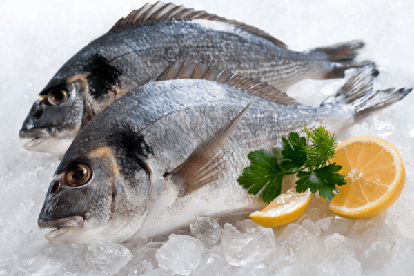 Dorade grise – 1Kg