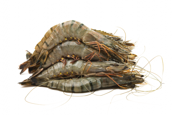 Gambas – 200g
