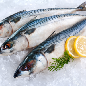 Maquereau - 1Kg