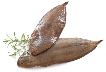 Sole