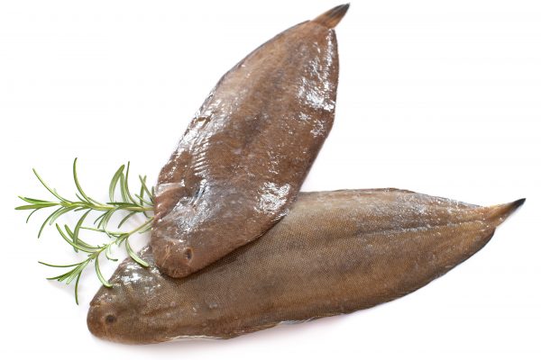 Sole entière – 350g