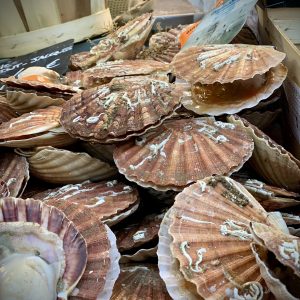Coquille St Jacques décortiquées - 500g