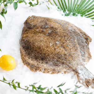 Turbot - 2Kg